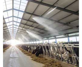 TC-60 applied to livestock