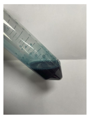 c-pc extraction_experiment